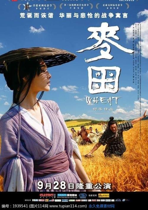 做个假佐治亚州驾驶证